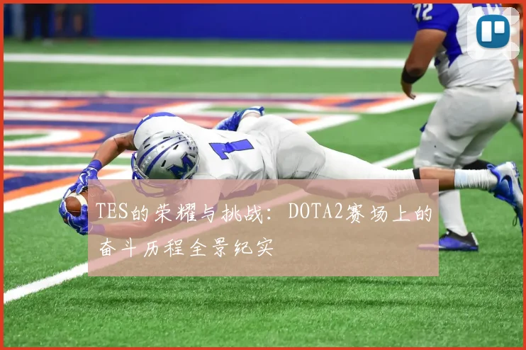 TES的荣耀与挑战：DOTA2赛场上的奋斗历程全景纪实
